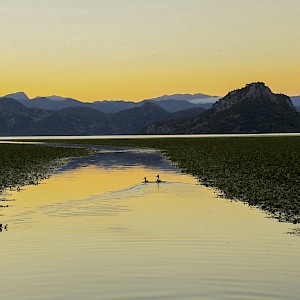 Stunning golden sunset at Skadar Lake !