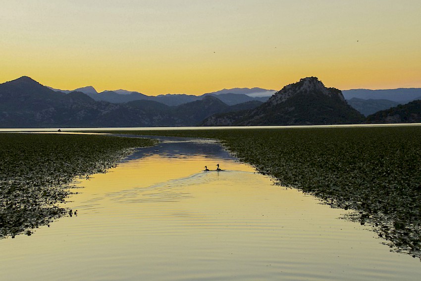 Stunning golden sunset at Skadar Lake !