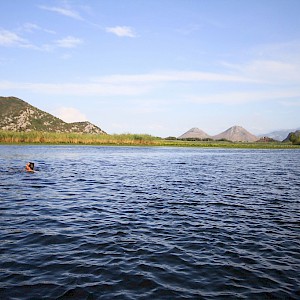 Swimming