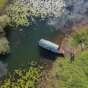 Bird view