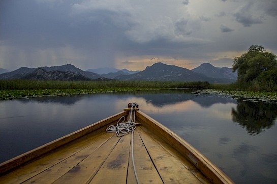 Boat cruising