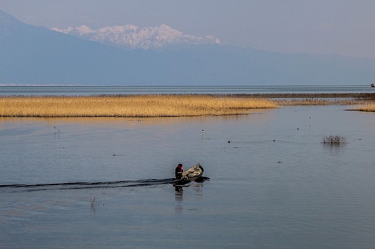 Fishing